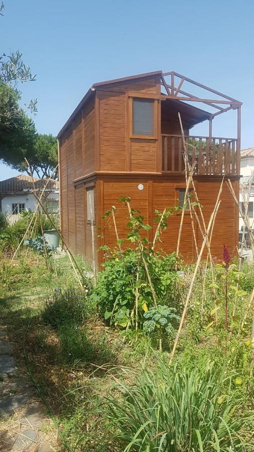 Casa De Madera De Sancti Petri Βίλα Chiclana de la Frontera Εξωτερικό φωτογραφία